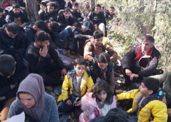 تركيا.. ضبط 89 مهاجر غير قانوني غربي البلاد