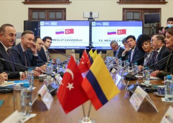 تشاووش أوغلو: كولومبيا شريك خاص بالنسبة لتركيا