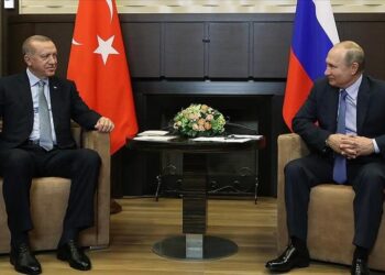 أردوغان: سنواصل جهودنا لتحقيق السلام بين روسيا وأوكرانيا