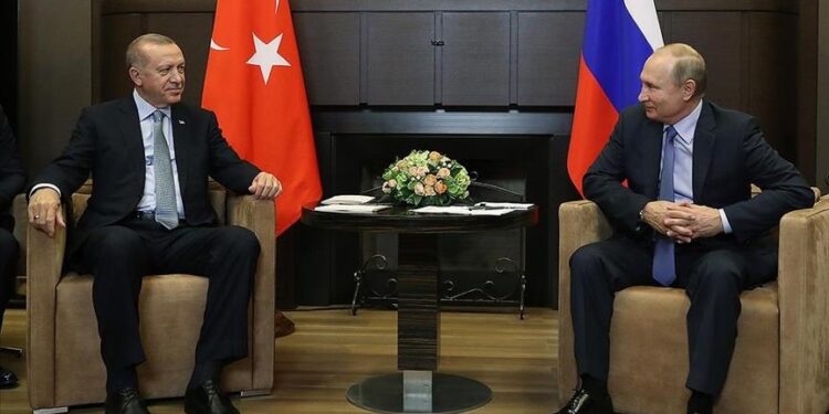 أردوغان: سنواصل جهودنا لتحقيق السلام بين روسيا وأوكرانيا