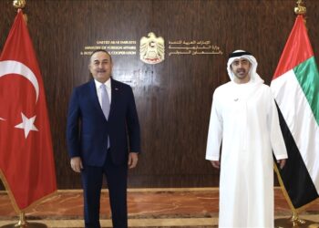 تشاووش أوغلو ونظيره الإماراتي يبحثان العلاقات الثنائية