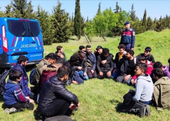 ضبط 156 مهاجرا شمال غربي تركيا