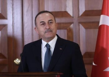 تشاووش أوغلو: تحسين العلاقات مع مصر سينعكس على المنطقة برمتها