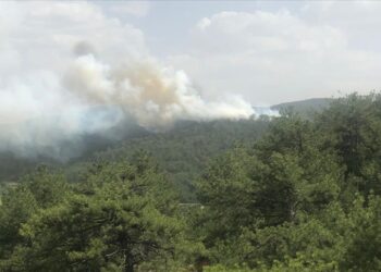 طواقم الإطفاء تواصل إخماد الحرائق في غابات بولو التركية