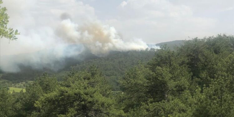 طواقم الإطفاء تواصل إخماد الحرائق في غابات بولو التركية