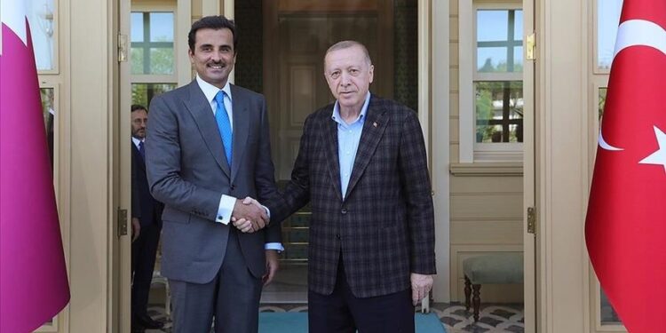 أردوغان يلتقي أمير قطر في إسطنبول