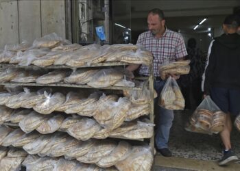 أزمة أوكرانيا.. توجه لبناني نحو زراعة القمح والقنب