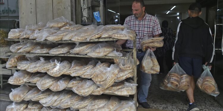 أزمة أوكرانيا.. توجه لبناني نحو زراعة القمح والقنب