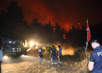 تركيا.. تواصل إخماد الحرائق في غابات موغلا لليوم الثاني