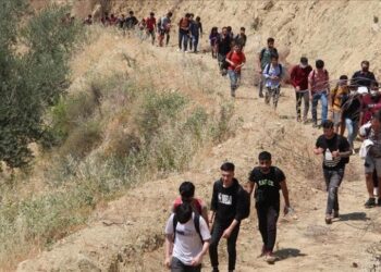 ضبط 91 مهاجرا غير نظامي غربي تركيا