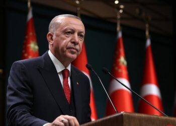 أردوغان والرئيس الانتقالي لدولة مالي يبحثان العلاقات الثنائية