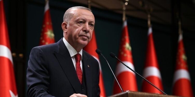 أردوغان والرئيس الانتقالي لدولة مالي يبحثان العلاقات الثنائية
