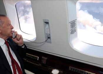 أردوغان يتفقد جوا حرائق الغابات في مرمريس