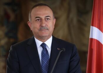 تركيا: سيتم إنشاء خطوط لنقل الحبوب الأوكرانية دون إزالة الألغام