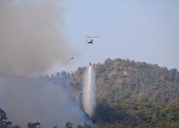 تركيا: سيطرنا إلى حد كبير على حريق غابة مرمريس