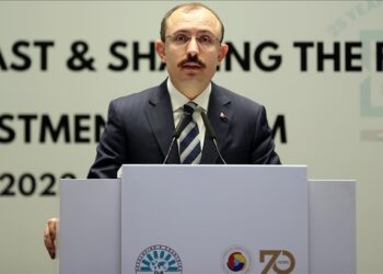 إسطنبول.. انطلاق فعاليات “منتدى الاستثمار D-8”