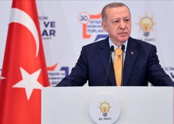 أردوغان: نواصل التحضير لاستكمال الخط الأمني في الجنوب