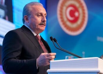 شنطوب: تركيا تسعى لتلبية احتياجات اللاجئين بمفردها