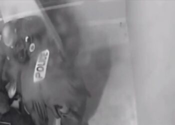 الأناضول تحصل على مشاهد توثق مقتل تركي على يد الشرطة الفرنسية