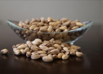 تركيا تجني 111.4 مليون دولار من صادرات الفستق العنتابي