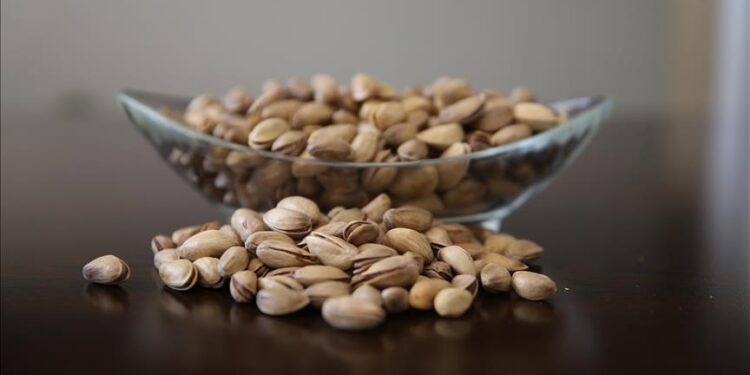 تركيا تجني 111.4 مليون دولار من صادرات الفستق العنتابي