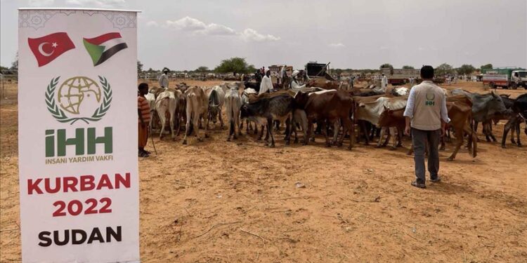 “الإغاثة التركية” تعتزم توزيع لحوم على آلاف الأسر السودانية