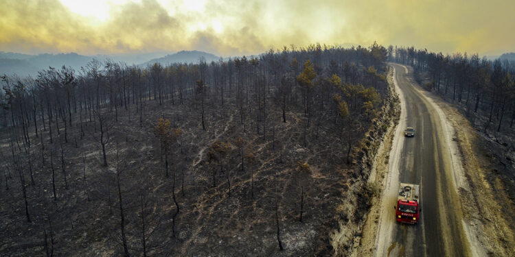 انخفاض الحرائق في اسطنبول .. ما السبب ؟