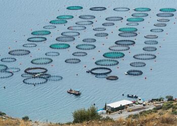 الثروة المائية من تركيا إلى العالم