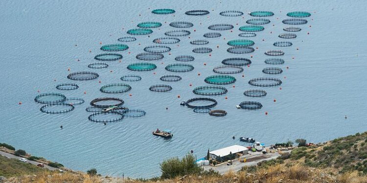 الثروة المائية من تركيا إلى العالم