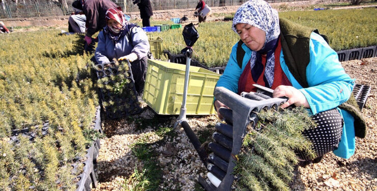 دعم 46.9 مليون ليرة لمزارع إسكي شهير