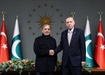 شهباز شريف يدعو أردوغان لحضور اجتماع التعاون الاستراتيجي
