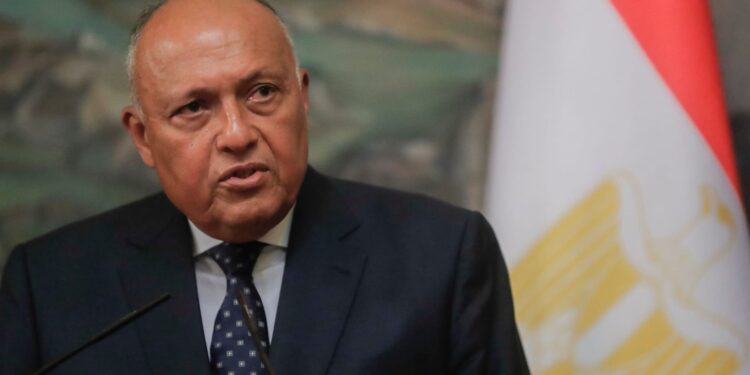 السيسي يوفد شكري لمراسم تنصيب الرئيس أردوغان