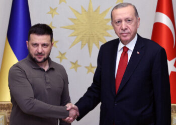 أردوغان يلتقي زيلينسكي في إسطنبول