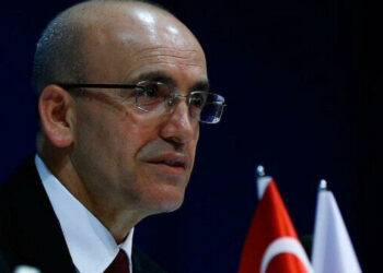 وزير المالية التركي: أردوغان سيزور الإمارات لتوقيع اتفاقيات شاملة