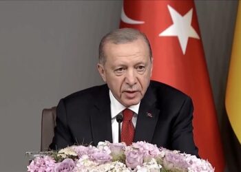 أردوغان: أوكرانيا تستحق عضوية الناتو