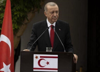 أردوغان يجدد دعمه لحل الدولتين المتساويتين في قبرص
