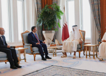 نائب الرئيس التركي ووزير المالية يلتقيان أمير قطر