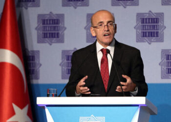 وزير المالية التركي: نراقب عمليات التهرب الضريبي