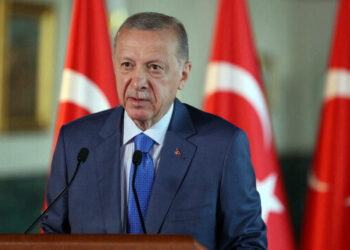 أردوغان: لا أرى قرار إيكواس بالتدخل العسكري في النيجر صائباً