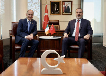 فيدان يلتقي نظيره الأيرلندي في نيويورك